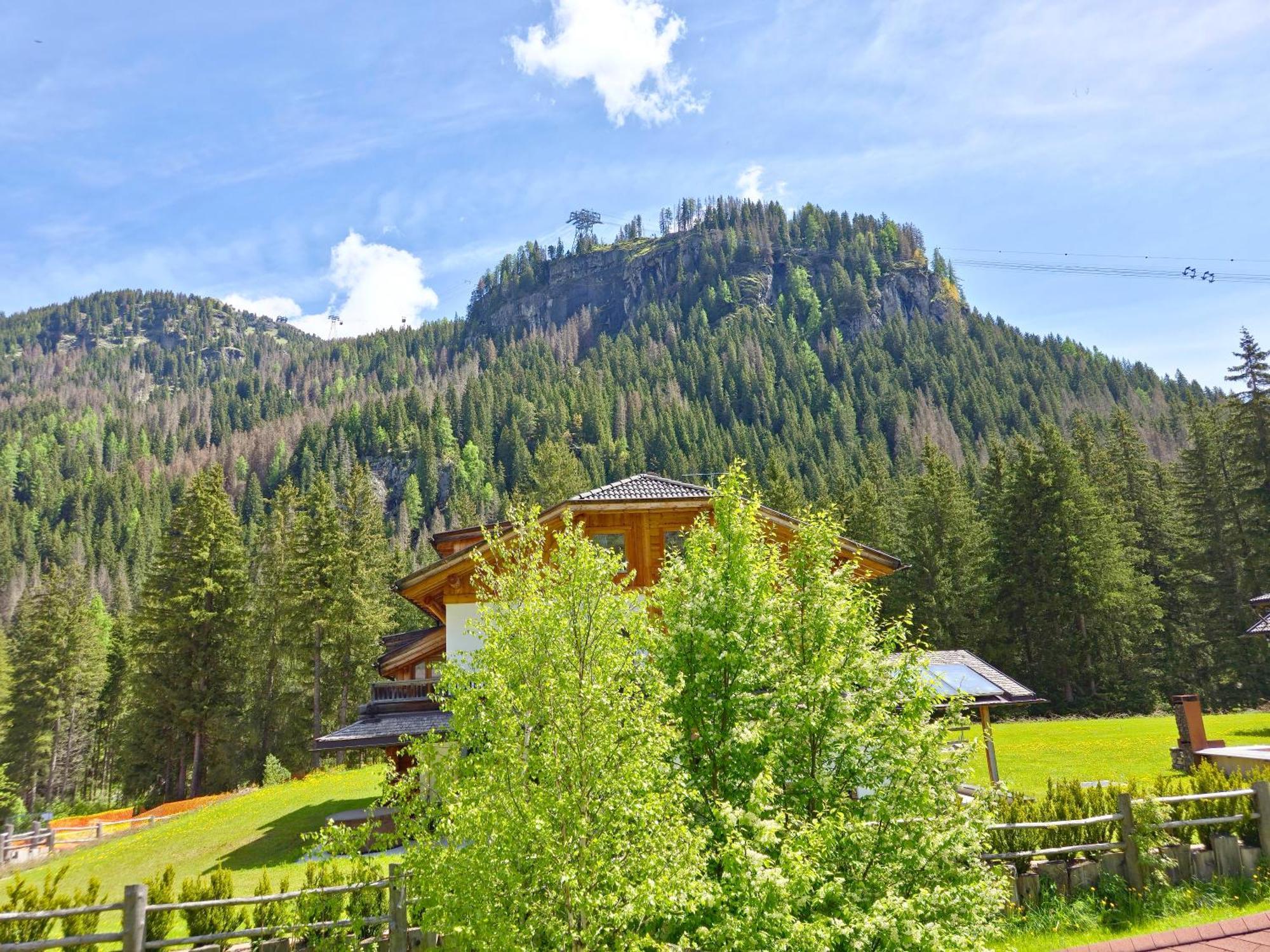 קאנזיי Residence Villa Flora By Ama Val Di Fassa מראה חיצוני תמונה